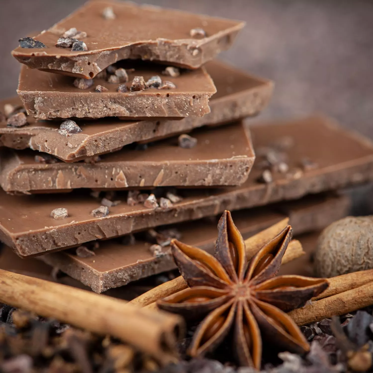 Weihnachten Ahoi Weihnachtsschokolade von Speicher und Consorten