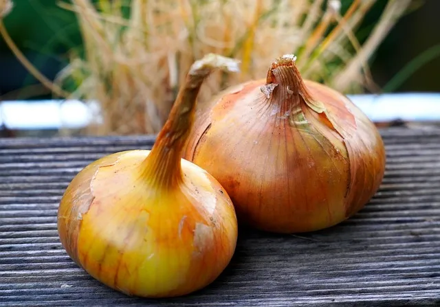 Zwiebeln (c) Pixabay_matthiasboeckel-onions-5437569_640